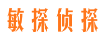 海州市私家侦探